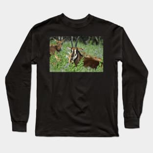 Sable Antelope Long Sleeve T-Shirt